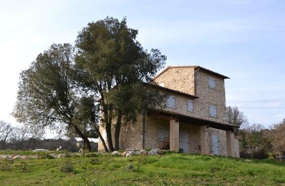 אמליה Agriturismo Surripa מראה חיצוני תמונה